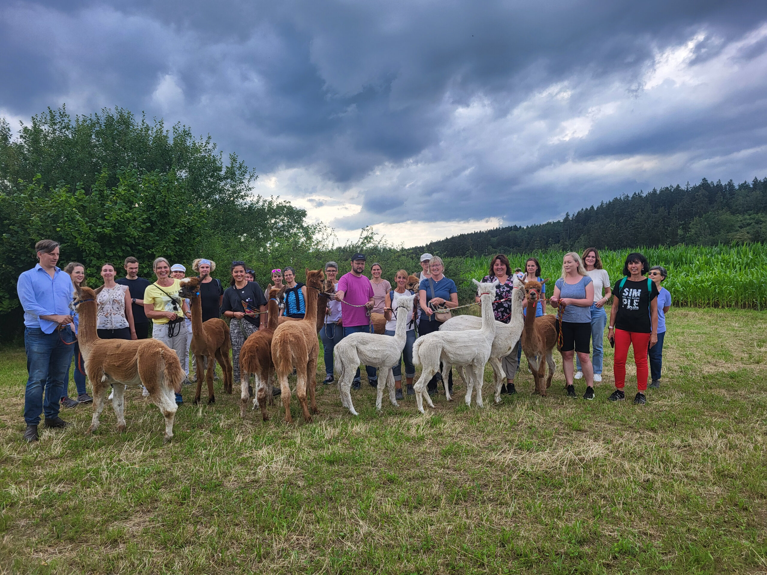 Verwaltungsausflug Klinik Wartenberg 2024 Alpakawanderung
